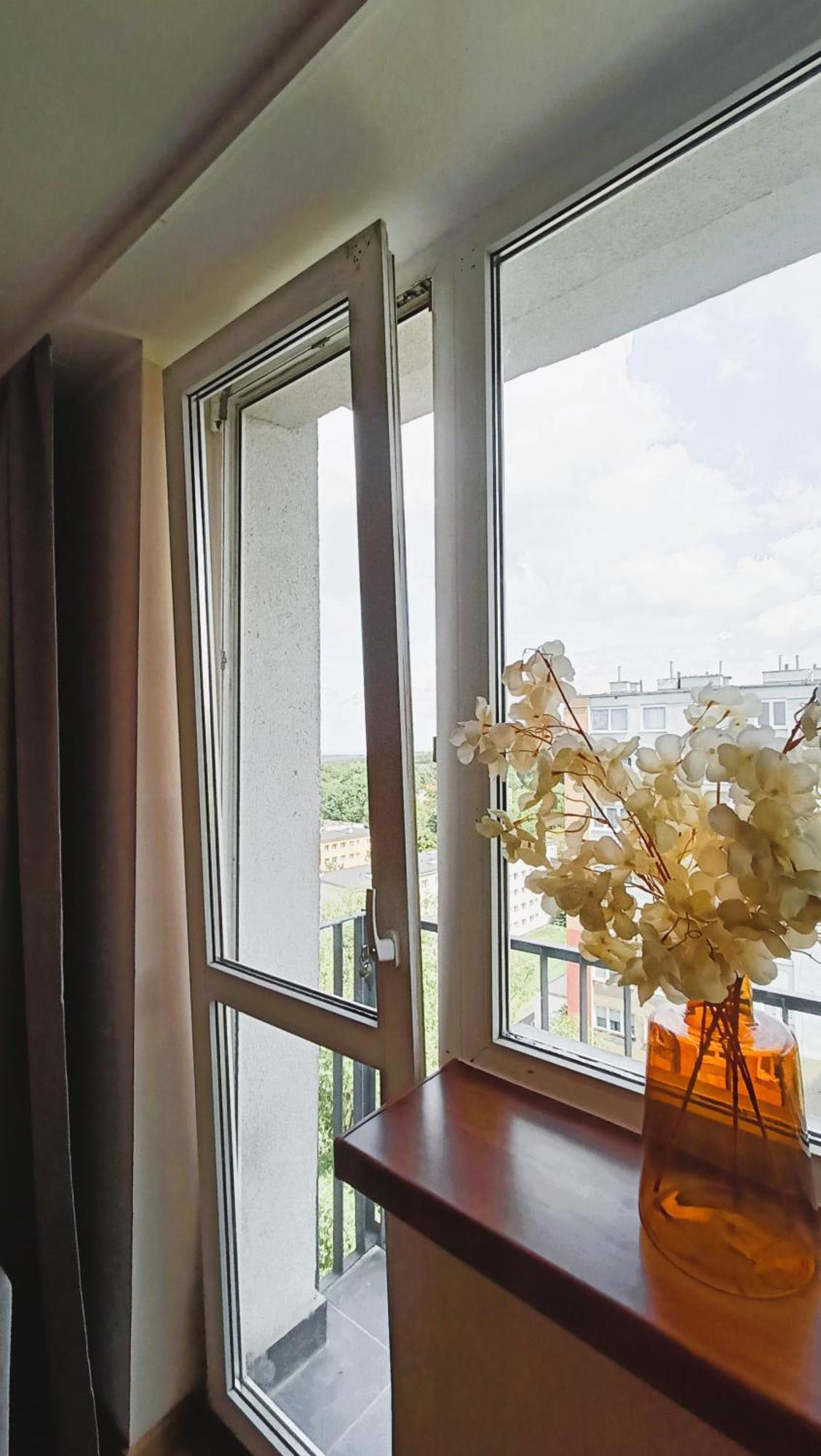 Drzewna Apartamenty - Wladyslawa Zelená Hora Exteriér fotografie