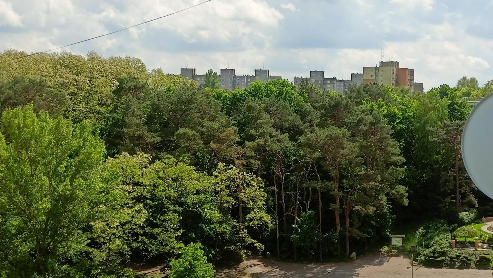 Drzewna Apartamenty - Wladyslawa Zelená Hora Exteriér fotografie
