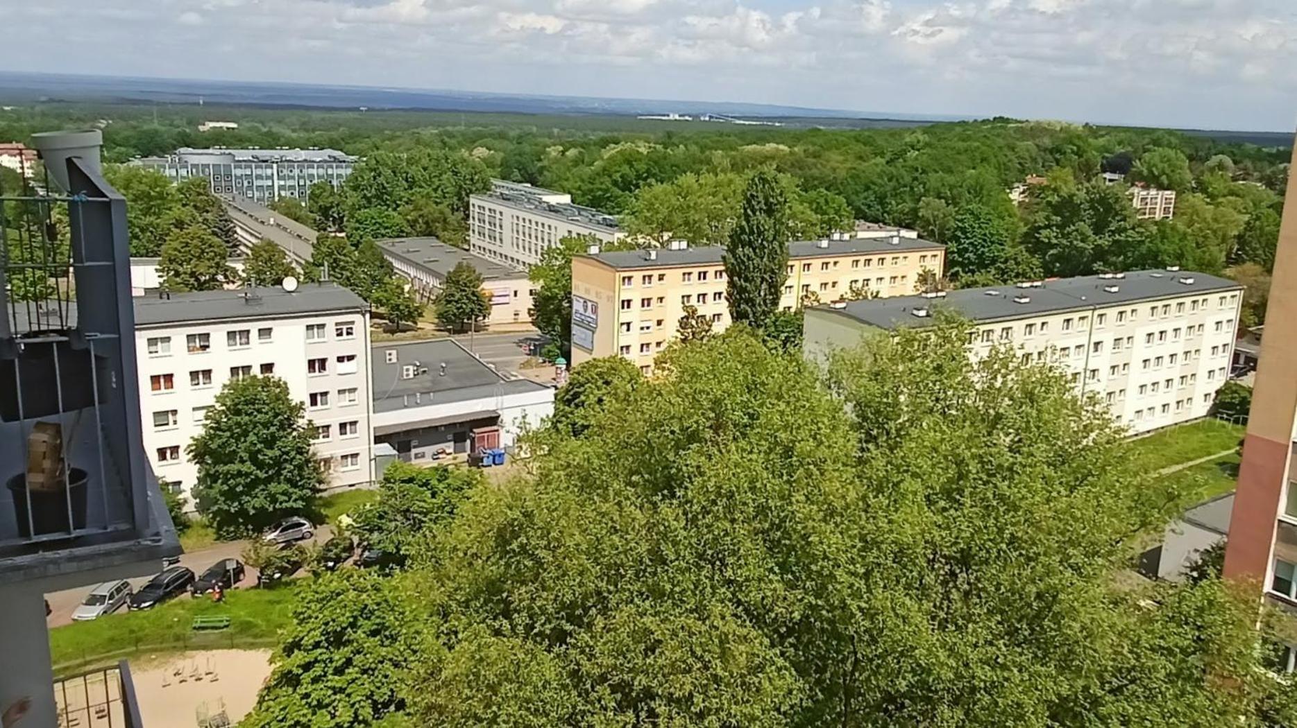 Drzewna Apartamenty - Wladyslawa Zelená Hora Exteriér fotografie