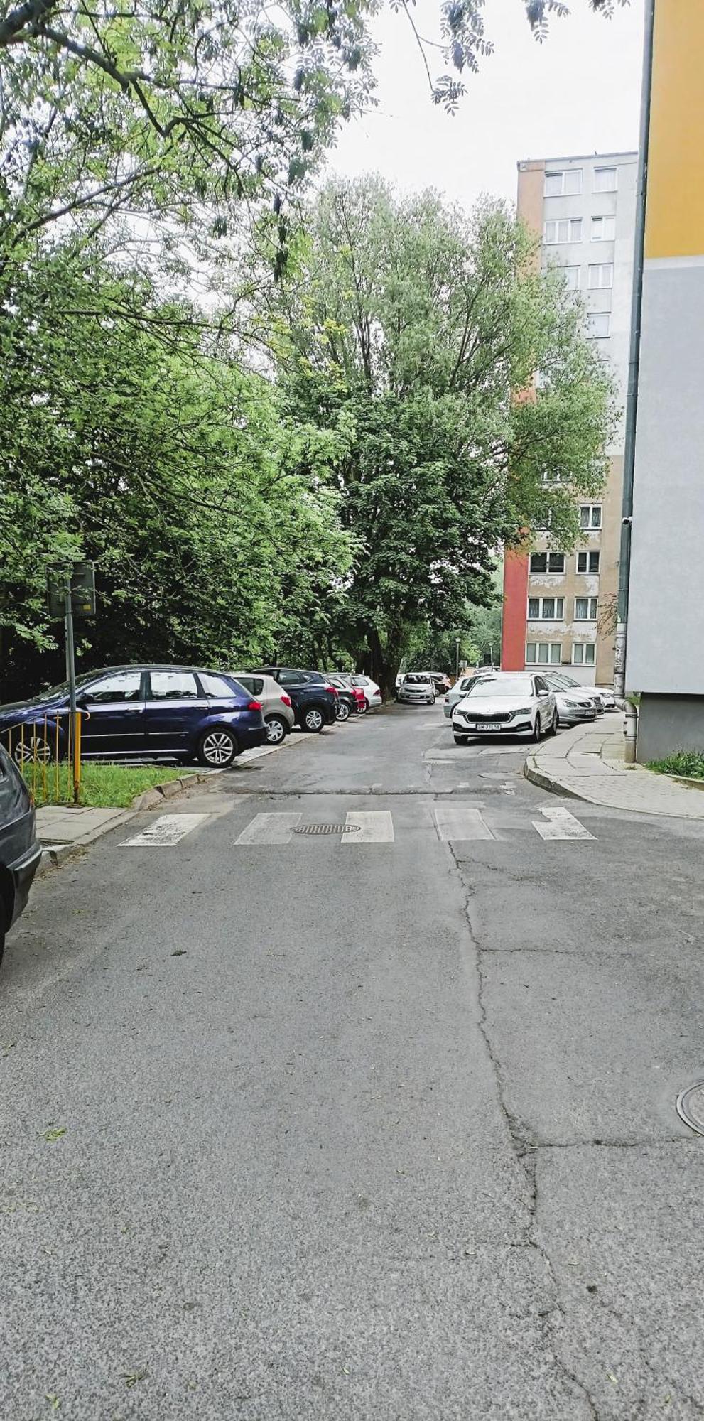 Drzewna Apartamenty - Wladyslawa Zelená Hora Exteriér fotografie