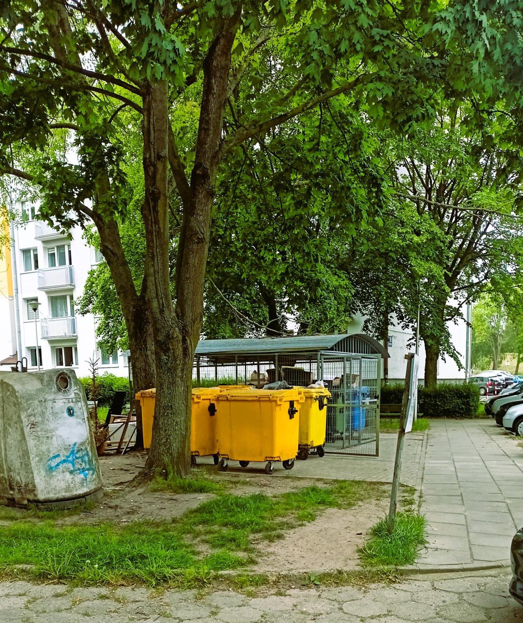 Drzewna Apartamenty - Wladyslawa Zelená Hora Exteriér fotografie