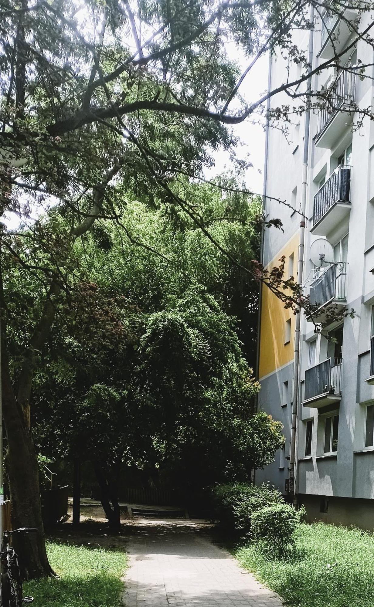 Drzewna Apartamenty - Wladyslawa Zelená Hora Exteriér fotografie