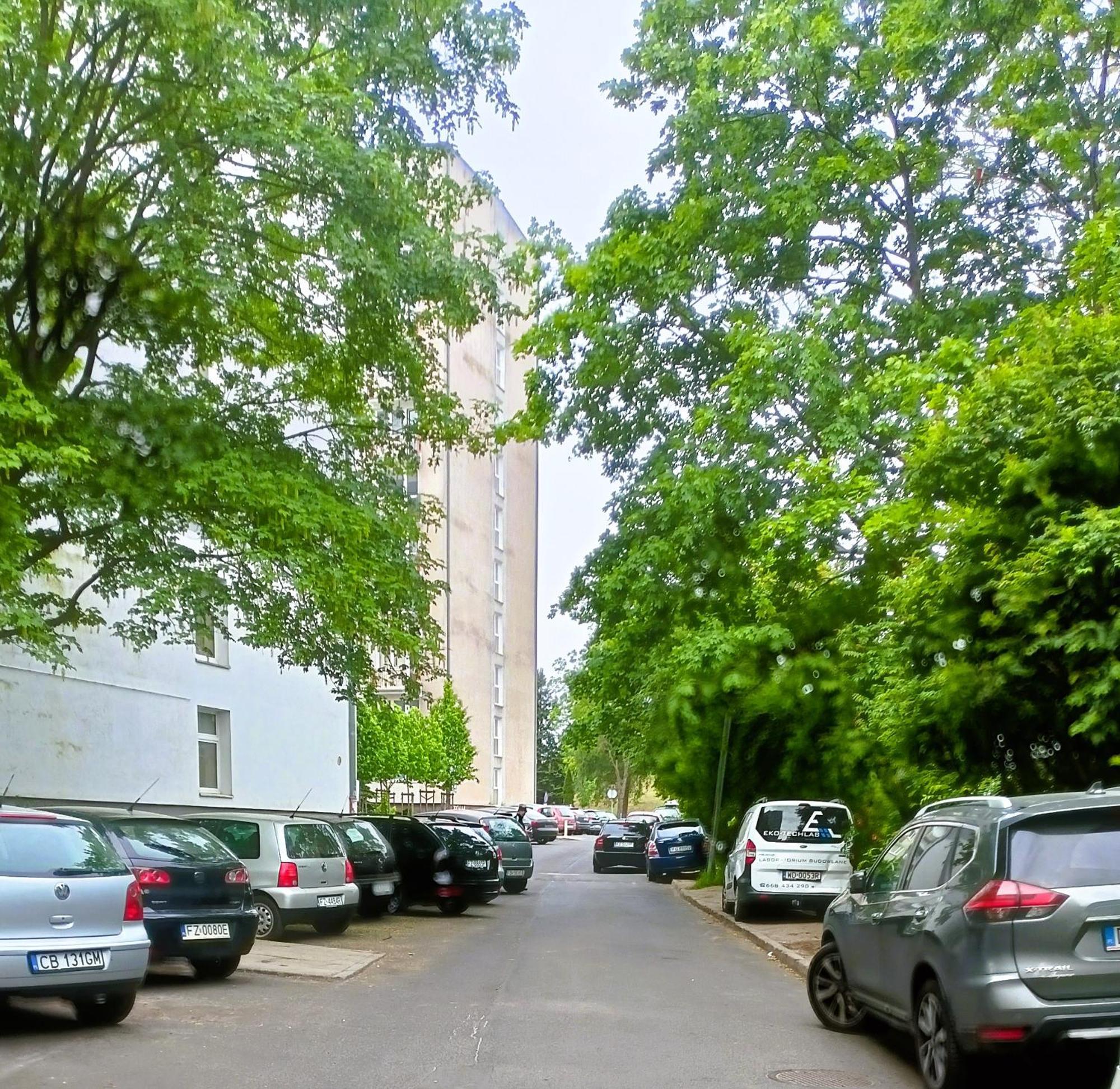 Drzewna Apartamenty - Wladyslawa Zelená Hora Exteriér fotografie